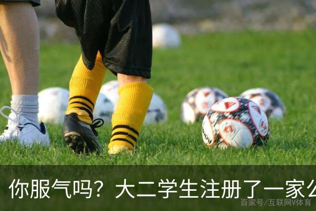 你服气吗？大二学生注册了一家公司，员工名单上只有他自己，而他一年营收达到了60万